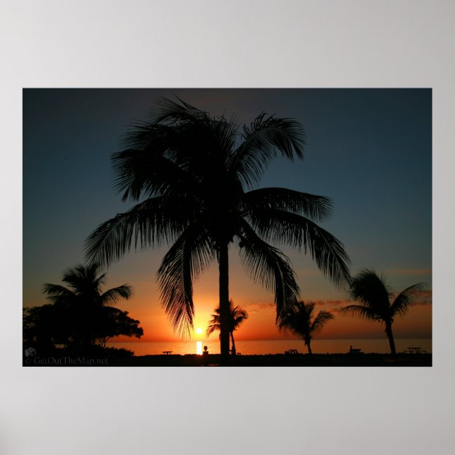 Póster Palm Tree Sunset (Frente)