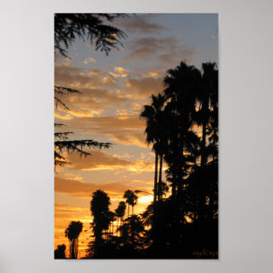 Póster Palm Tree Sunset Los Angeles Poster