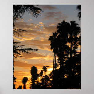 Póster Palm Tree Sunset Los Angeles Poster