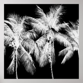 Póster Palm tree tropical verano hawaiano negro y blanco