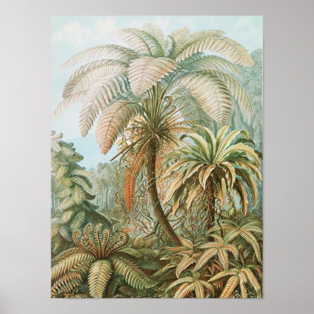 Póster Palm Tree tropical vintage, Botánica Retro (Frente)
