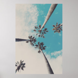 Póster Palm Trees against a Turquoise Sky Photo