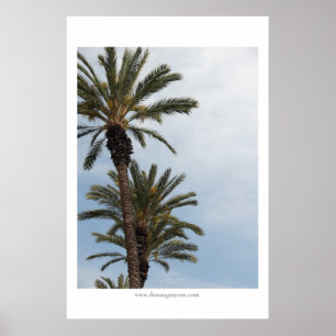 Póster Palm Trees de California