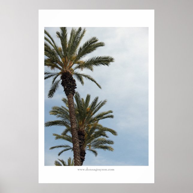 Póster Palm Trees de California (Frente)