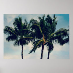 Póster Palm Trees de Hawaii