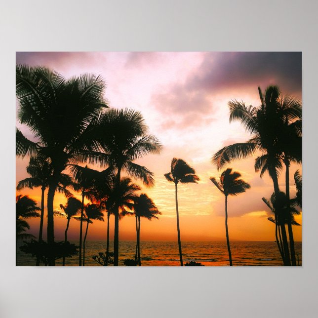 Póster Palm Trees de Playa Exótica de Hawái (Frente)