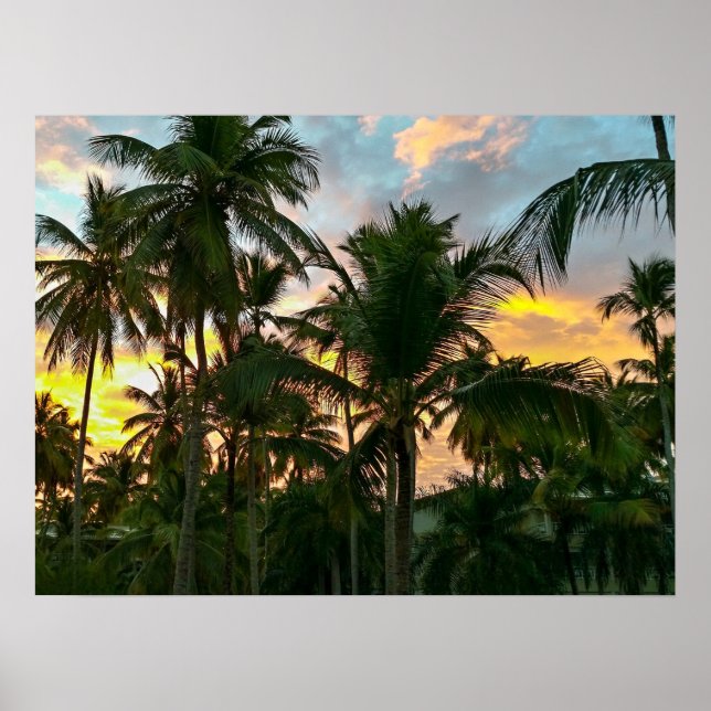 Póster Palm Trees de Playa Exótica de Hawái (Frente)