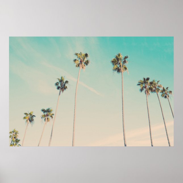 Póster Palm Trees in the Wind Photo (Frente)