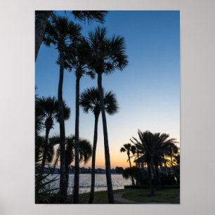 Póster Palm Trees Sunrise Destin Florida Poster