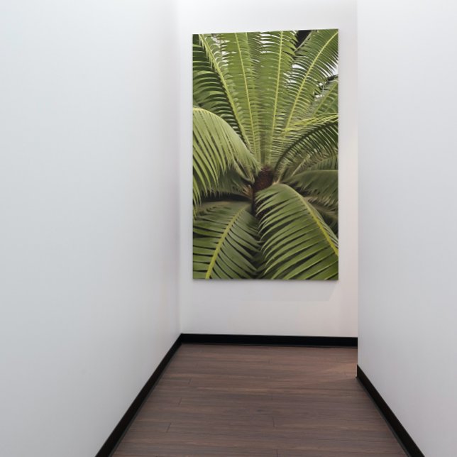 Póster Palm Tropical Art Dioon Spinulosum (Subido por el creador)