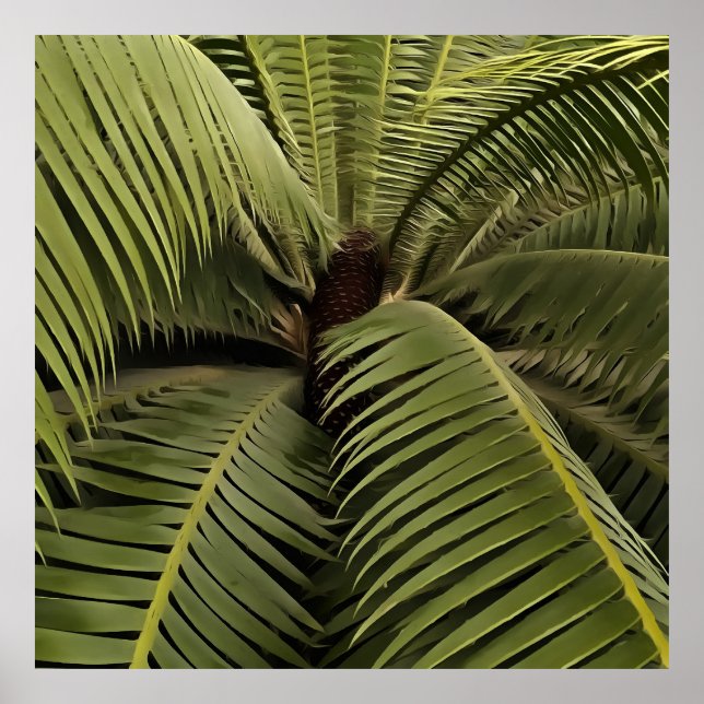 Póster Palm Tropical Art Dioon Spinulosum (Frente)