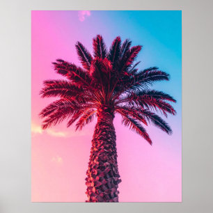 Póster palmas