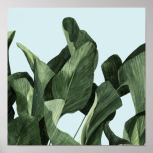 Póster Palmas Celadon