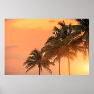 Póster Palmas de Miami