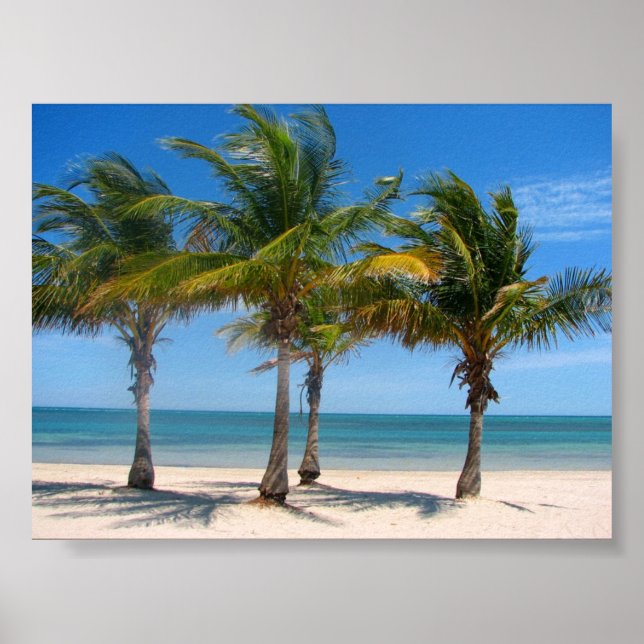 Póster Palmas de vizcaína (Frente)