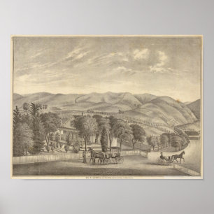 Póster Palmer res, viñedo