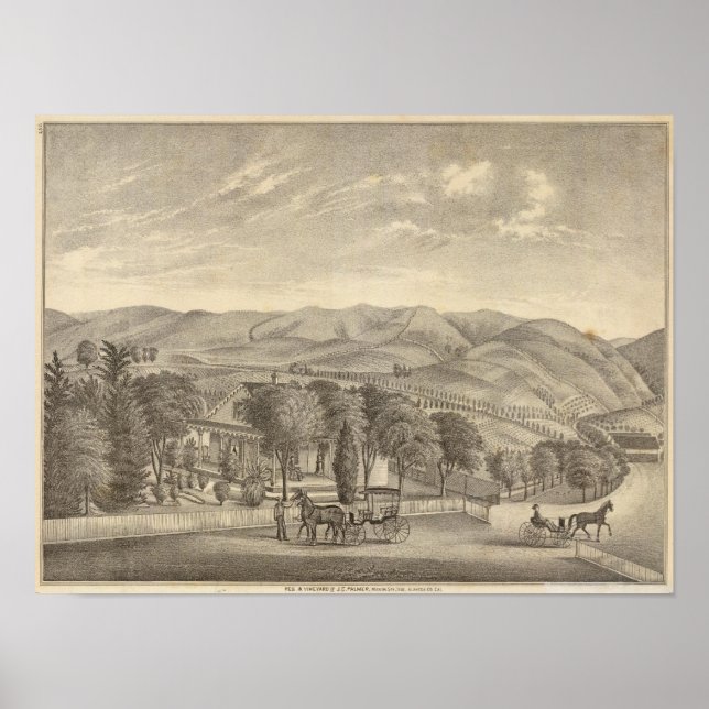 Póster Palmer res, viñedo (Frente)