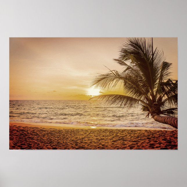 Póster Palmera de coco al sol en la playa (Frente)