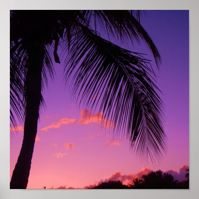 Póster palmera de zafiro (Frente)