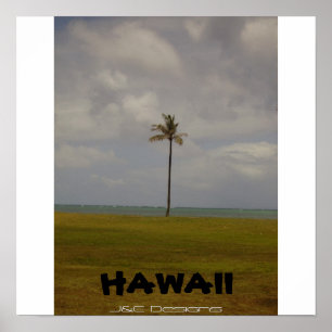 Póster Palmera hawaiana