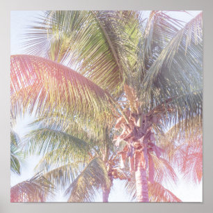 Póster Palmera ideal