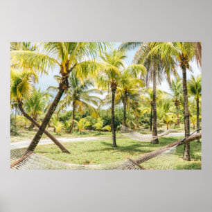 Póster Palmera por la mañana