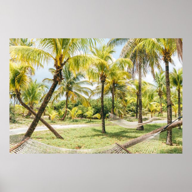 Póster Palmera por la mañana (Frente)