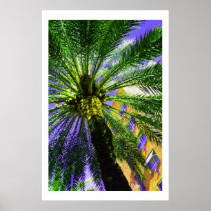 Póster Palmera por la tarde
