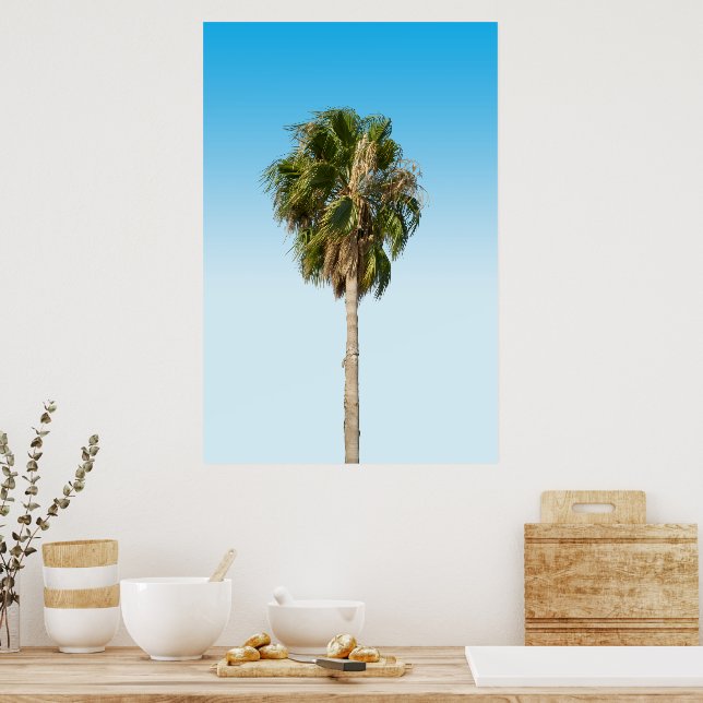 Póster Palmera solitaria (Cocina)