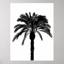 Póster palmera tropical en blanco y negro
