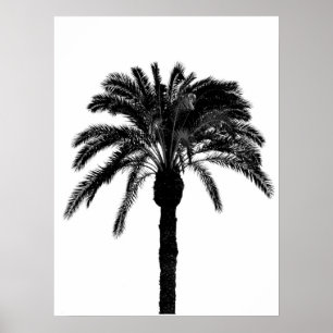 Póster palmera tropical en blanco y negro