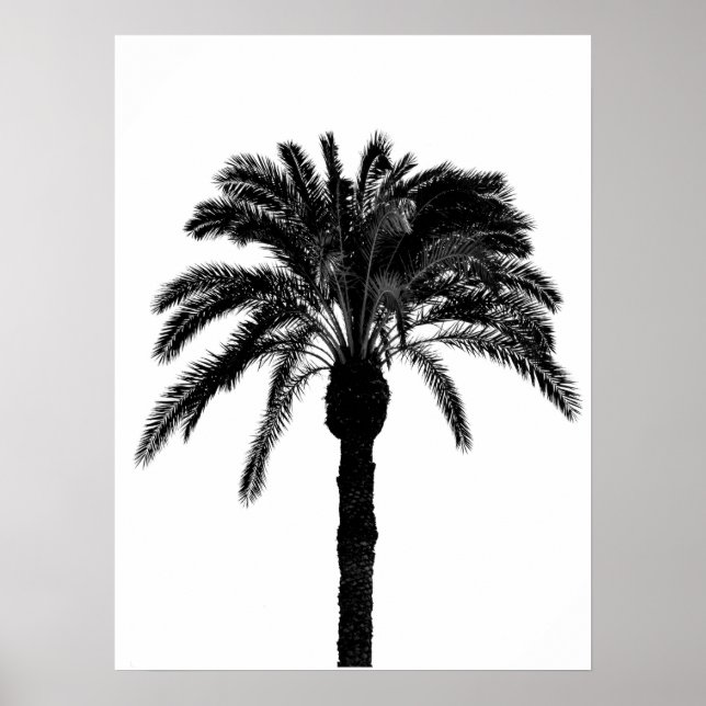 Póster palmera tropical en blanco y negro (Frente)