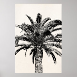 Póster Palmera tropical retra de la isla en blanco y