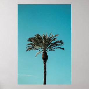 Póster Palmera verde