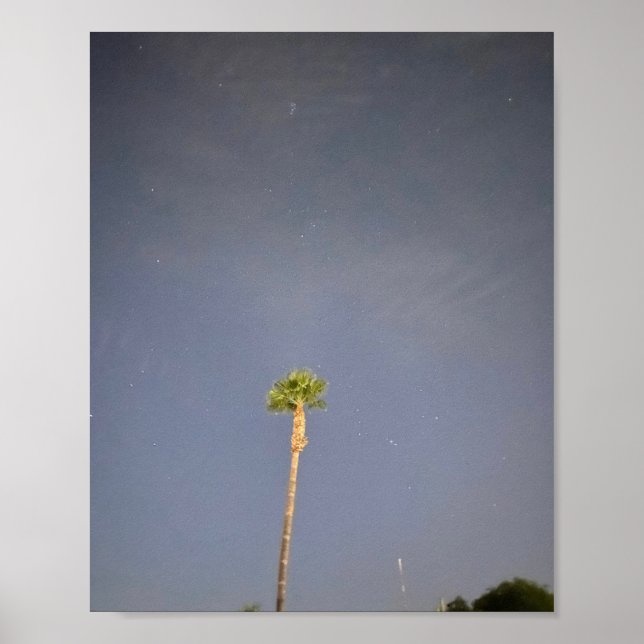 Póster Palmera y Estrellas ✨  (Frente)