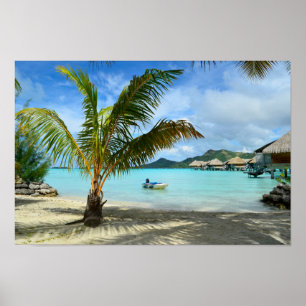 Póster Palmera y poster del centro turístico del