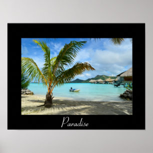 Póster Palmera y poster del centro turístico del
