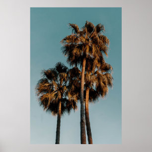 Póster Palmeras