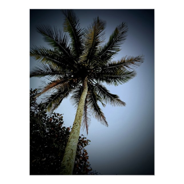 Póster Palmeras (Anverso)