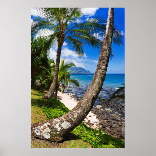 Póster Palmeras a lo largo de la playa Hideaways
