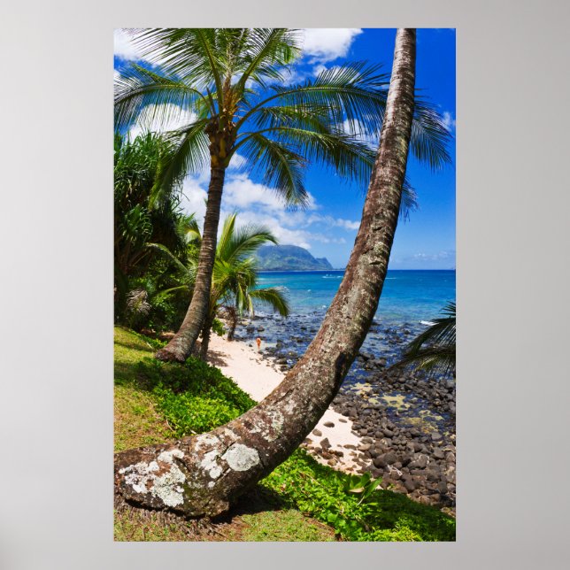 Póster Palmeras a lo largo de la playa Hideaways (Frente)