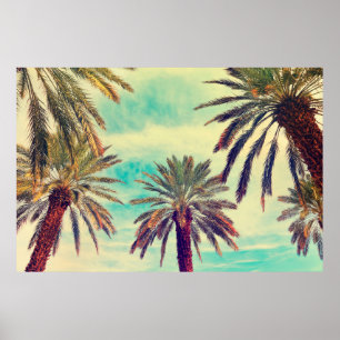 Póster Palmeras acuáticas en días soleados