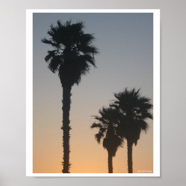 Póster Palmeras al Atardecer (Frente)