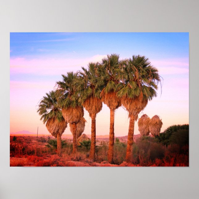 Póster Palmeras al atardecer (Frente)