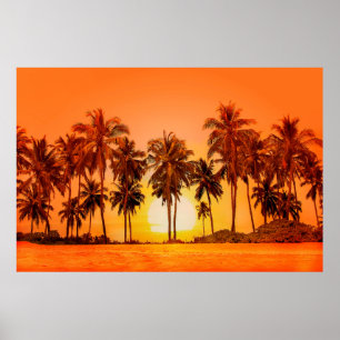 Póster Palmeras al fondo de la puesta de sol. Sri Lanka.