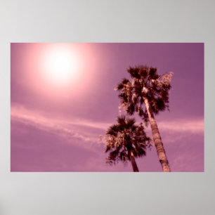 Póster Palmeras con sol