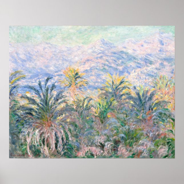 Póster Palmeras de Bordighera (1884) por Claude Monet (Frente)