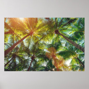 Póster Palmeras de coco en la playa