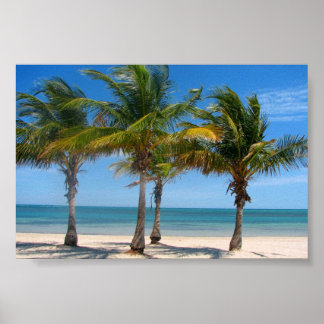 Póster palmeras de Florida