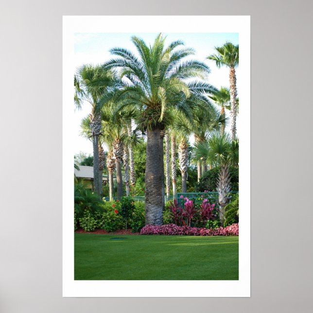 Póster Palmeras de Florida (Frente)